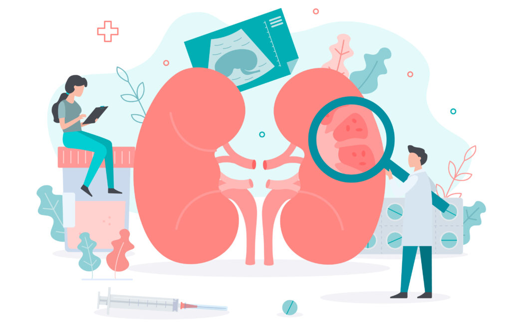 Graphic showing a woman taking notes and a doctor with a magnifying glass looking at a focused version of the kidney
