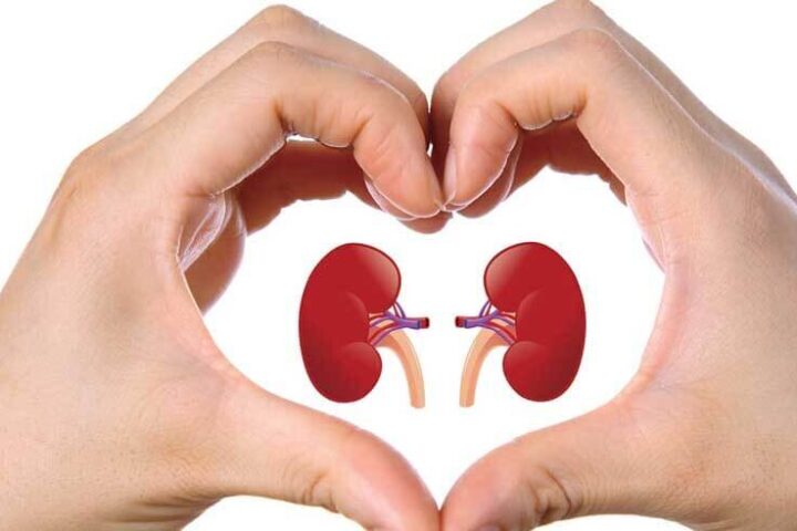 TAKING CARE OF YOUR KIDNEYS