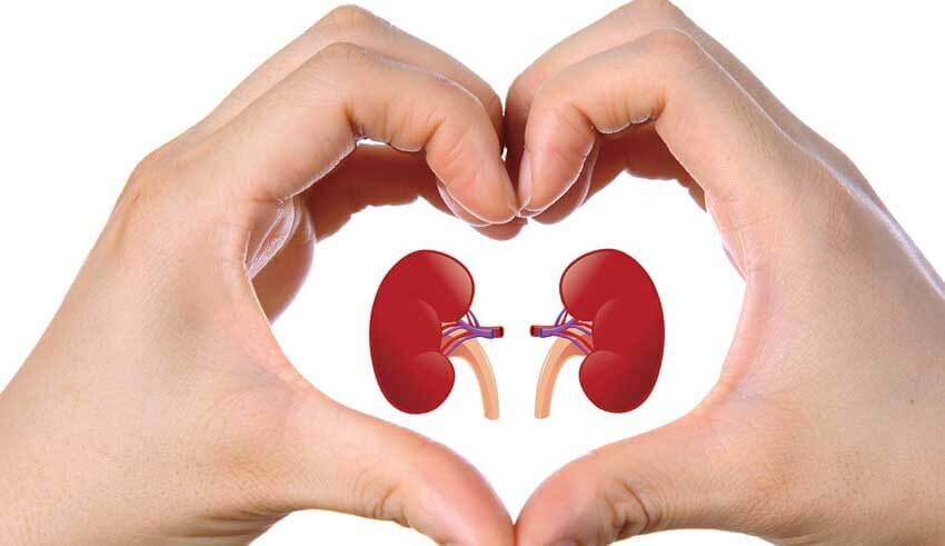 TAKING CARE OF YOUR KIDNEYS