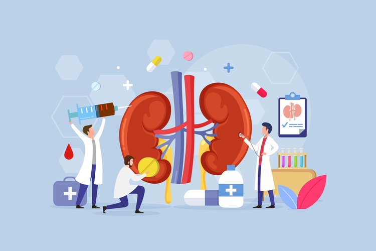 The Latest Kidney Disease News And Research

