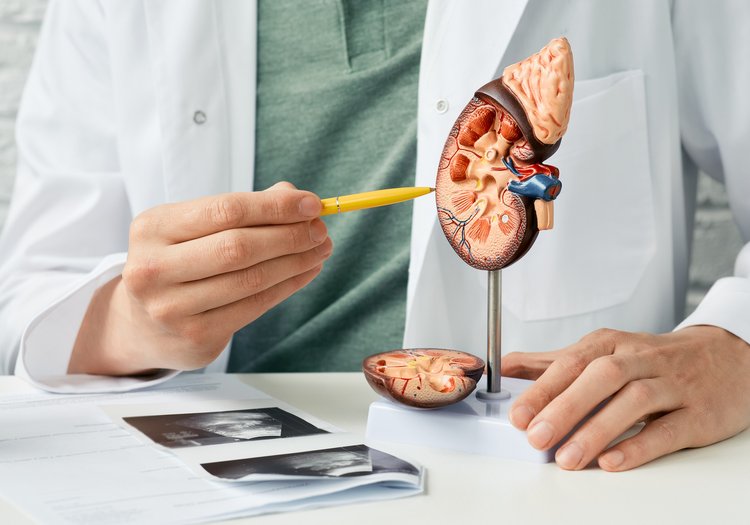 Common Signs of Kidney Disease
