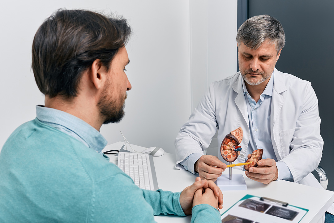 Adult man during consultation with experienced urologist at medical clinic.