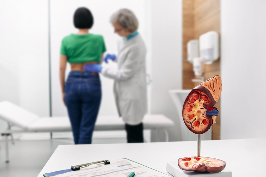 A kidney diagram sits in a doctor's office during a patient visit, as the doctor examines her lower back