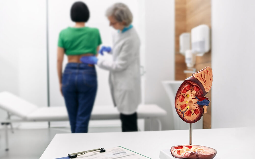 A kidney diagram sits in a doctor's office during a patient visit, as the doctor examines her lower back
