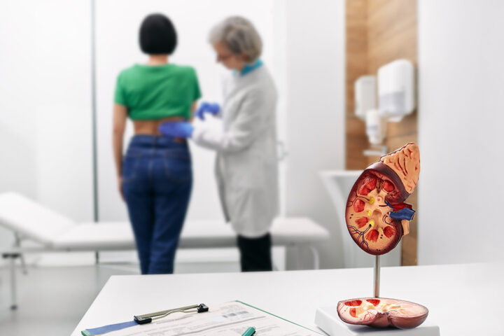 A kidney diagram sits in a doctor's office during a patient visit, as the doctor examines her lower back